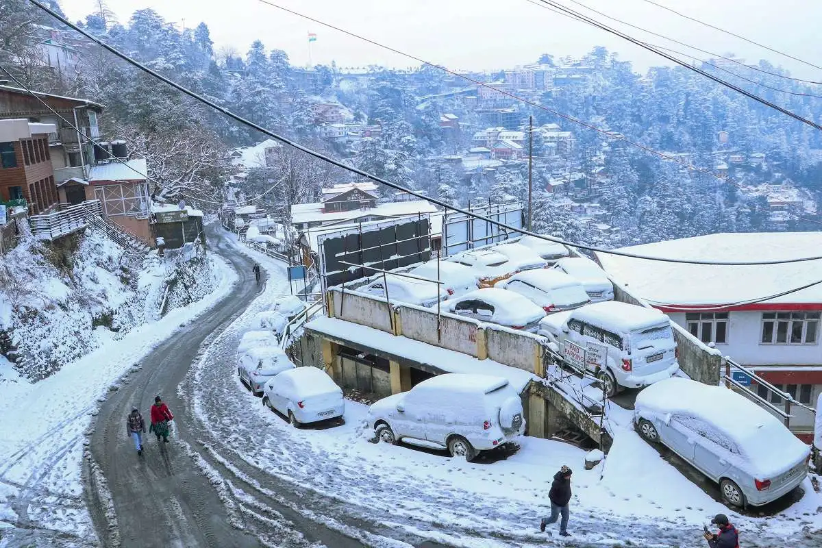 Shimla