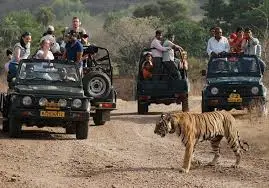 Ranthambore National Park