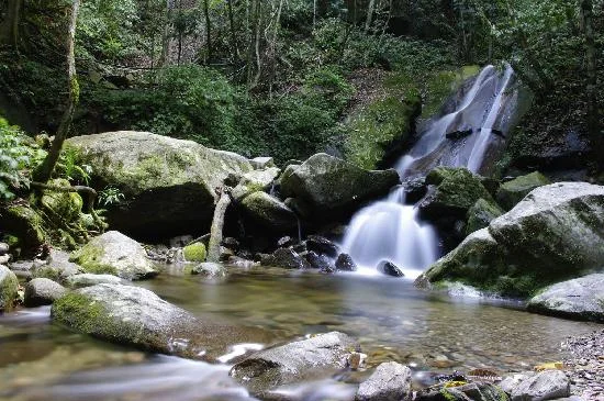 Kinabalu Park