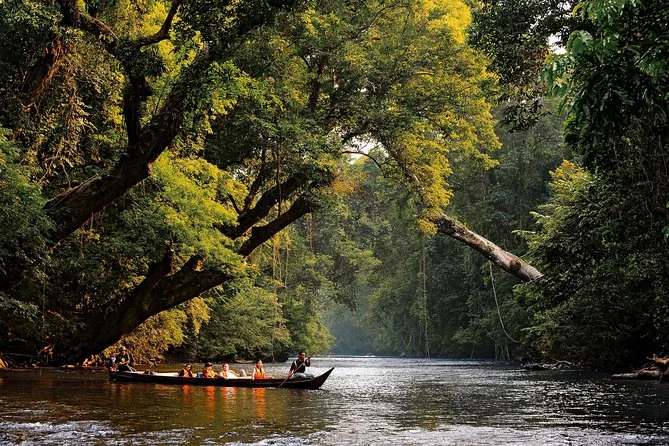 Taman Negara