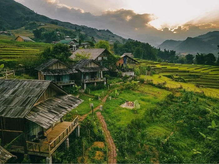 Sapa